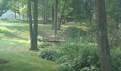 Custom Garden Stream Bridge 2 small