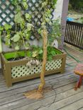 Rustic Hickory Log Table Lamps And Floor Lamp 1 small