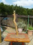 Rustic Hickory Log Table Lamps And Floor Lamp 4 small