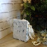 Shabby Chic Songbird Door Stop Doorstop Bluebird Bookend Chippy Paint Bird Decor 4 small