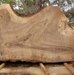 Stretched Venn Diagram In Walnut 2 small