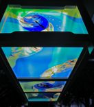 Fused Glass Panels For Outdoor Lanai Light Fixture - Deep Sea 6 small