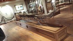 Custom Museum Display Cabinet  . 1 small