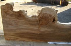 Live Edge Fireplace Mantel 1 small