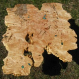 Extremely Burled Maple Coffee Table 1 small