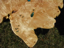 Extremely Burled Maple Coffee Table 3 small