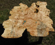 Extremely Burled Maple Coffee Table 5 small