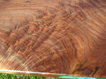 Live-Edge Walnut Dining Table 5 small