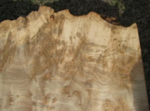 Live Edge Red Maple Burl Coffee Table 2 small