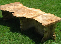 Live Edge Urban Rescue Burl Maple Coffee Table 3 small