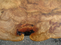 Red Oak Burl End Table 1 small