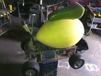 Izo Meme Electric Vehicle Platform 1 small