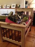 Ash And Walnut (Dog) Bed 2 small