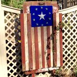 One Star, Falling Stripes 5 small