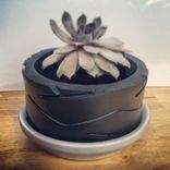 Tire Pots 1 small