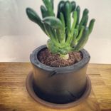 Tire Pots 3 small