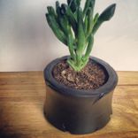 Tire Pots 2 small