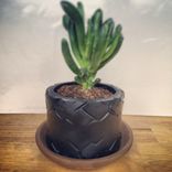 Tire Pots 6 small