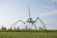 Signs Of Life 1 small