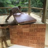 End Grain Ambrosia Maple 3 small