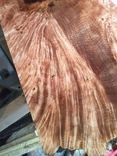Live Edge Countertop 5 small
