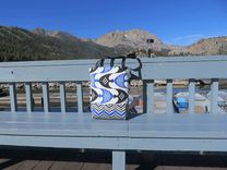 Wavy Traveler Cook Bag 2 small