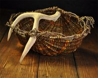 Sold - Tip O' The Antler 2 small