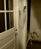 Dog Muzzle Hanger 1 small