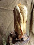 Bird Of Prey 4 small