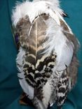 Chief White Feather 4 small