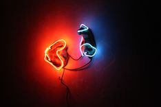 Soothing Neon Wall Sculptures 1 small