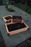 Ring Boxes 1 small