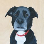 Custom Pet Portrait, Wood Panel, Personalized Pet Memorial Dog Cat, Birthday 4 small