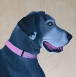 Custom Pet Portrait, Wood Panel, Personalized Pet Memorial Dog Cat, Birthday 1 small