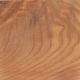 Cage Light Picture 3 small