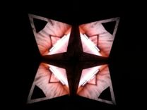 Mahogany Lotus Desk Lamp 2 small