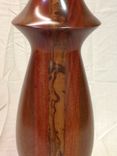 Handmade Brazilian Leopardwood, Bloodwood, & Marblewood Table Lamp 2 small