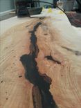 Live Edge Slab With Butterfly Inlay 2 small