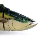 4' Long X 2' High X 8" Wide Yellow Fin Tuna 2 small