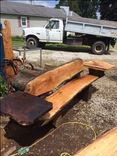 Live Edge Butternut Wood Bench 2 small