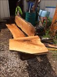 Live Edge Butternut Wood Bench 3 small