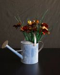 California Gold Stainless Steel Poppies 2 small