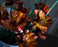 California Gold Stainless Steel Poppies 3 small