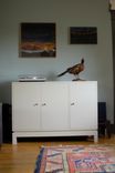 Credenza 1 small