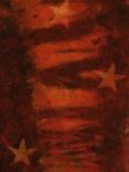Rusted Star Silk Scarf 3 small