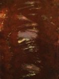 Chocolate Dream Silk Scarf 3 small