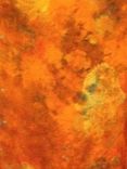 Tangerine Hamsa Silk Scarf 2 small