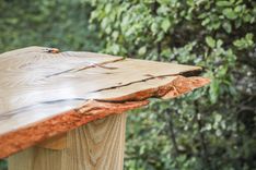 Live Edge Figured Ash Desk 4 small