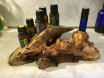 Exotic Hardwood Essential Oils Display 1 small