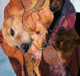 Unique Customized Dog Portraits 3 small